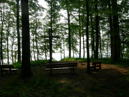 waldbestattung2.jpg